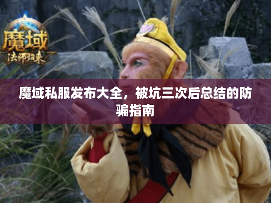 魔域私服发布大全，被坑三次后总结的防骗指南