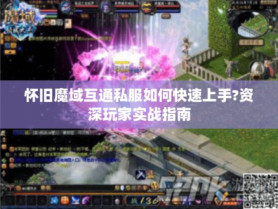 怀旧魔域互通私服如何快速上手?资深玩家实战指南 怀旧魔域互通私服如何快速上手?资深玩家实战指南