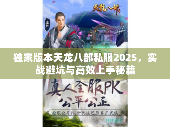 独家版本天龙八部私服2025，实战避坑与高效上手秘籍
