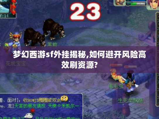 梦幻西游sf外挂揭秘,如何避开风险高效刷资源?