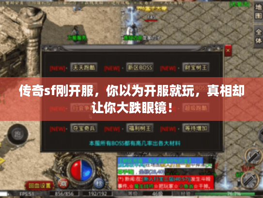 传奇sf刚开服，你以为开服就玩，真相却让你大跌眼镜！