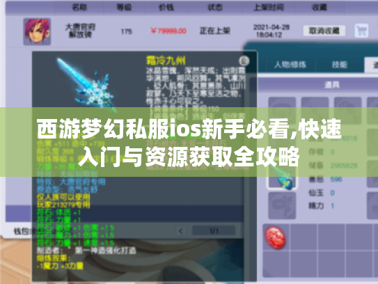 西游梦幻私服ios新手必看,快速入门与资源获取全攻略
