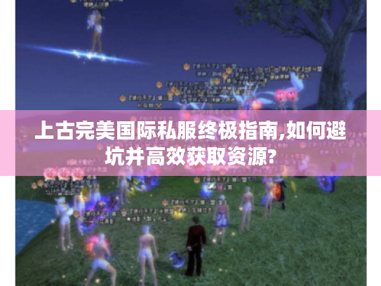 上古完美国际私服终极指南,如何避坑并高效获取资源?