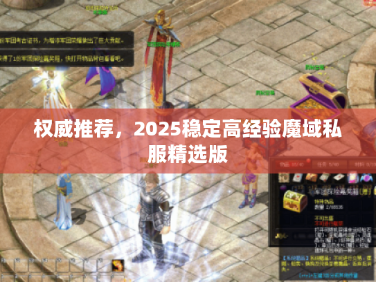 权威推荐，2025稳定高经验魔域私服精选版