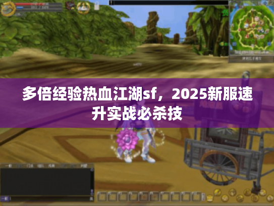 多倍经验热血江湖sf，2025新服速升实战必杀技