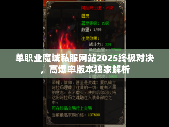 单职业魔域私服网站2025终极对决，高爆率版本独家解析