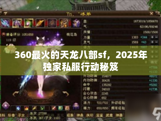 360最火的天龙八部sf，2025年独家私服行动秘笈