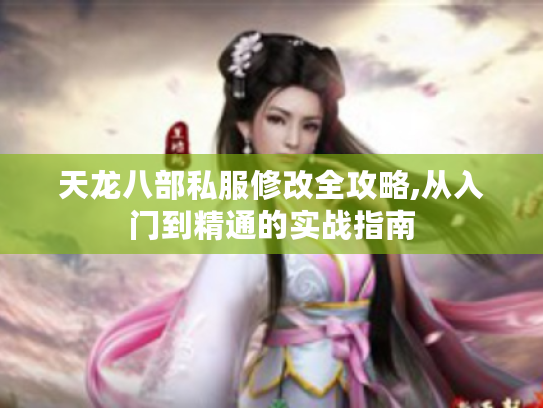 天龙八部私服修改全攻略,从入门到精通的实战指南