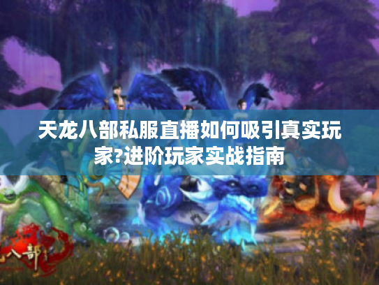 天龙八部私服直播如何吸引真实玩家?进阶玩家实战指南