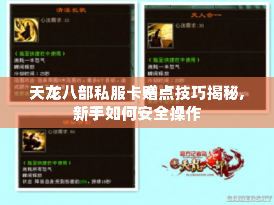 天龙八部私服卡赠点技巧揭秘,新手如何安全操作