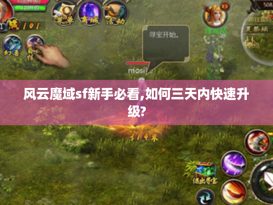 风云魔域sf新手必看,如何三天内快速升级?