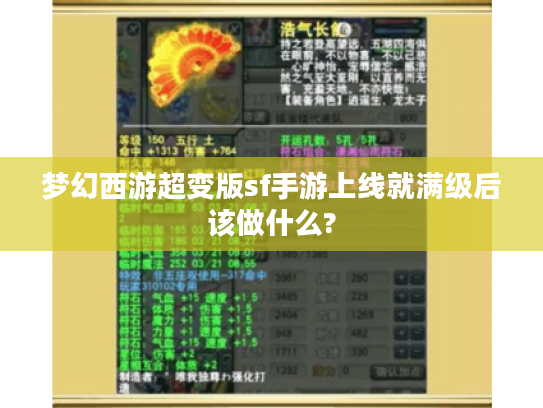梦幻西游超变版sf手游上线就满级后该做什么?
