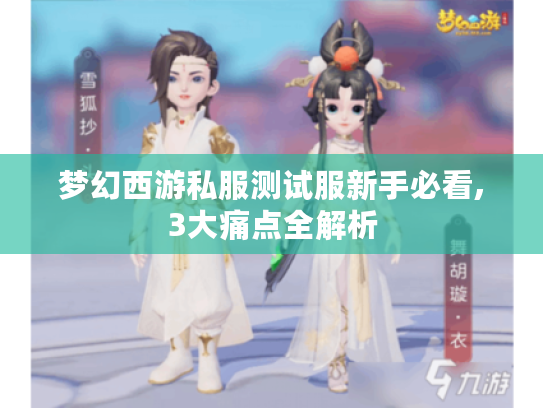 梦幻西游私服测试服新手必看,3大痛点全解析
