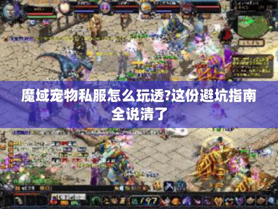魔域宠物私服怎么玩透?这份避坑指南全说清了 魔域宠物私服怎么玩透?这份避坑指南全说清了
