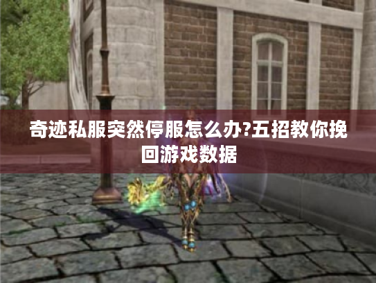 奇迹私服突然停服怎么办?五招教你挽回游戏数据