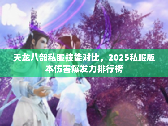 天龙八部私服技能对比，2025私服版本伤害爆发力排行榜