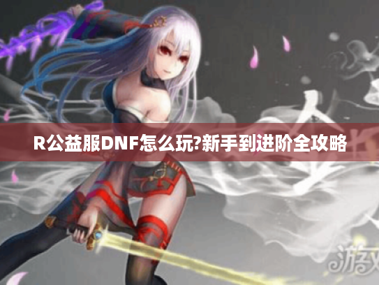 R公益服DNF怎么玩?新手到进阶全攻略
