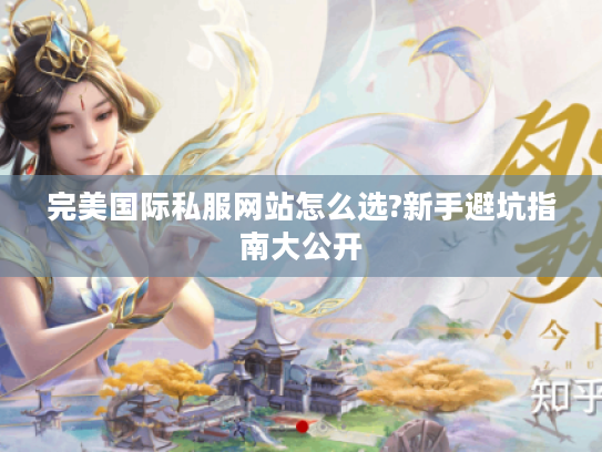 完美国际私服网站怎么选?新手避坑指南大公开