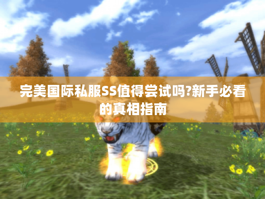 完美国际私服SS值得尝试吗?新手必看的真相指南 完美国际私服SS值得尝试吗?新手必看的真相指南
