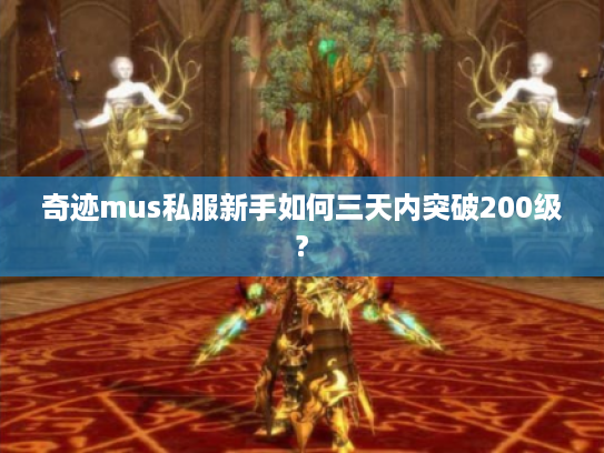 奇迹mus私服新手如何三天内突破200级?