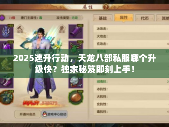 2025速升行动，天龙八部私服哪个升级快？独家秘笈即刻上手！
