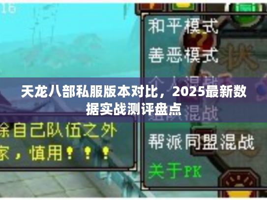 天龙八部私服版本对比，2025最新数据实战测评盘点