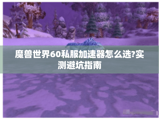 魔兽世界60私服加速器怎么选?实测避坑指南