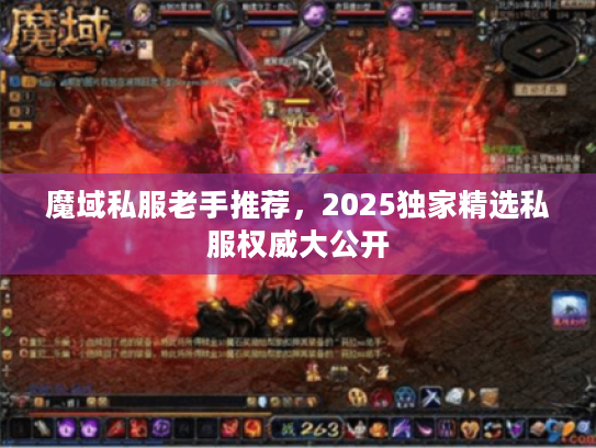 魔域私服老手推荐，2025独家精选私服权威大公开