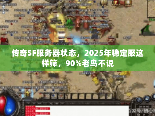 传奇SF服务器状态，2025年稳定服这样筛，90%老鸟不说