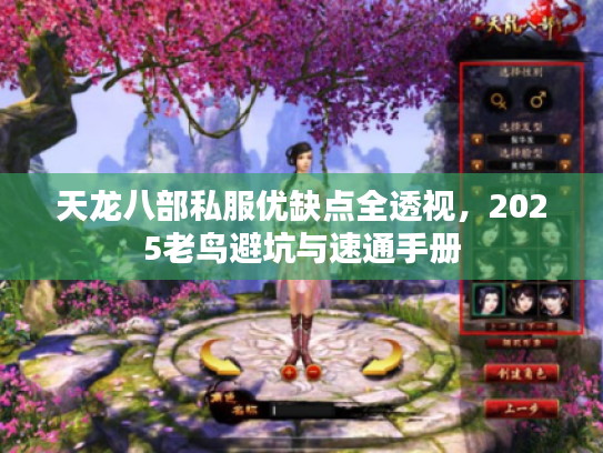 天龙八部私服优缺点全透视，2025老鸟避坑与速通手册