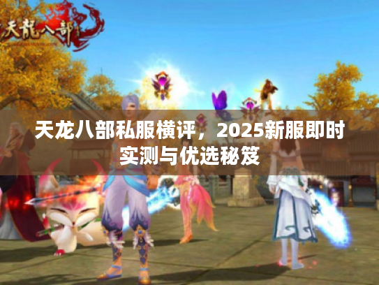 天龙八部私服横评，2025新服即时实测与优选秘笈