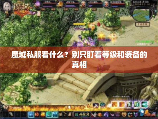 魔域私服看什么？别只盯着等级和装备的真相