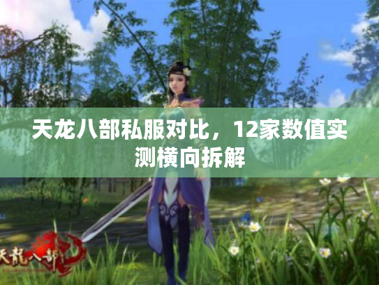 天龙八部私服对比，12家数值实测横向拆解