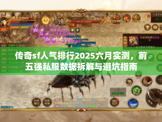 传奇sf人气排行2025六月实测,前五强私服数据拆解与避坑指南 传奇sf人气排行2025六月实测,前五强私服数据拆解与避坑指南
