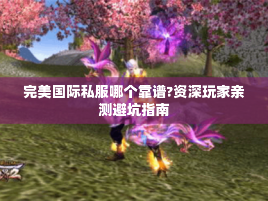 完美国际私服哪个靠谱?资深玩家亲测避坑指南