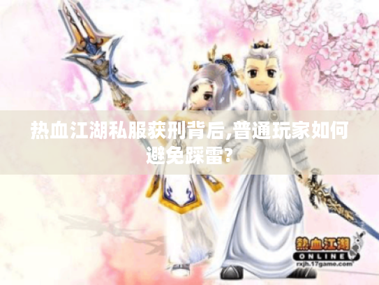 热血江湖私服获刑背后,普通玩家如何避免踩雷? 热血江湖私服获刑背后,普通玩家如何避免踩雷?