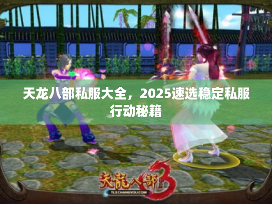 天龙八部私服大全，2025速选稳定私服行动秘籍