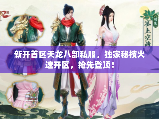 新开首区天龙八部私服，独家秘技火速开区，抢先登顶！