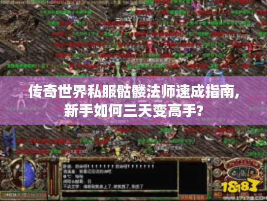 传奇世界私服骷髅法师速成指南,新手如何三天变高手?