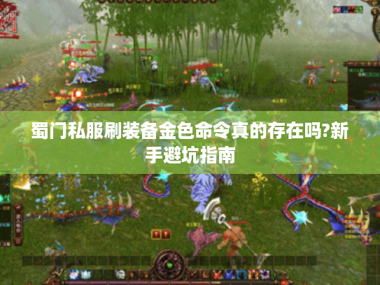 蜀门私服刷装备金色命令真的存在吗?新手避坑指南