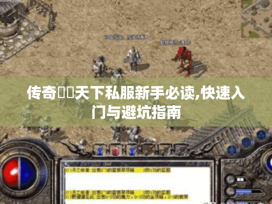 传奇風雲天下私服新手必读,快速入门与避坑指南