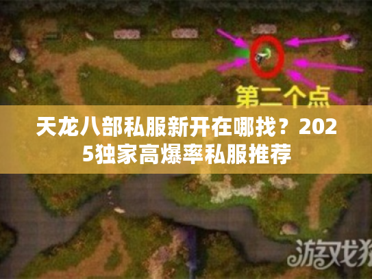 天龙八部私服新开在哪找？2025独家高爆率私服推荐