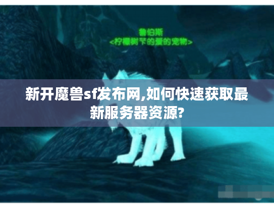 新开魔兽sf发布网,如何快速获取最新服务器资源?