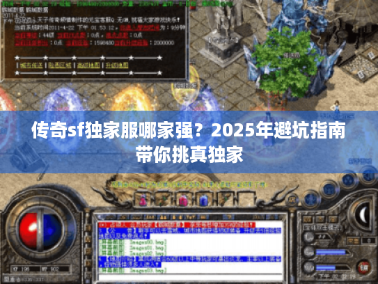 传奇sf独家服哪家强？2025年避坑指南带你挑真独家