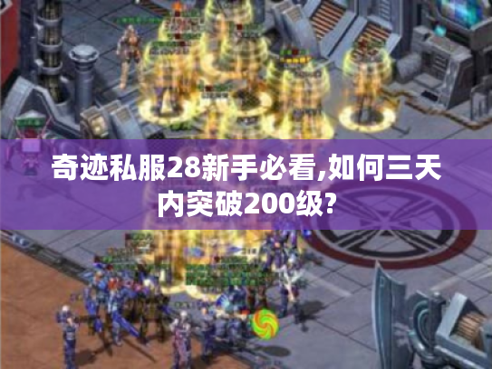 奇迹私服28新手必看,如何三天内突破200级?
