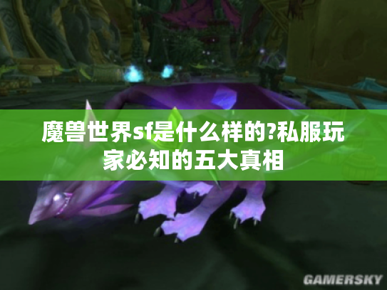 魔兽世界sf是什么样的?私服玩家必知的五大真相