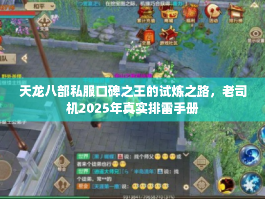 天龙八部私服口碑之王的试炼之路，老司机2025年真实排雷手册