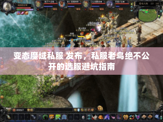 变态魔域私服 发布，私服老鸟绝不公开的选服避坑指南