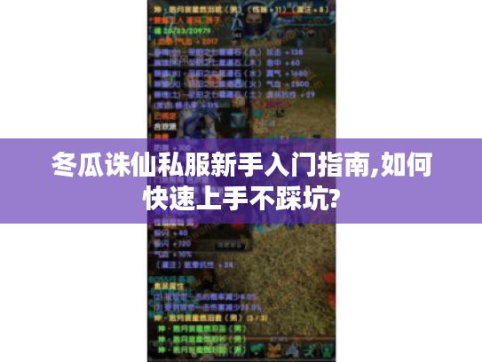 冬瓜诛仙私服新手入门指南,如何快速上手不踩坑?