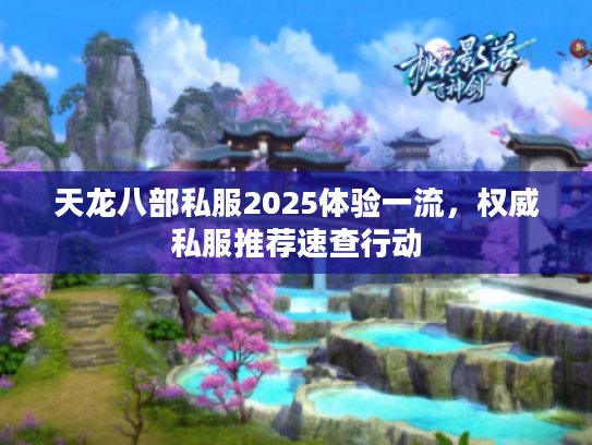 天龙八部私服2025体验一流，权威私服推荐速查行动